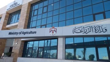 زراعة الأغوار الشمالية تدعو للإبلاغ عن حوادث سقوط أشجار زراعة الأغوار الشمالية تدعو للإبلاغ عن حوادث سقوط أشجار