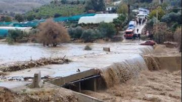 وزارة المياه: تخزين فيضانات سد شعيب في قناة الملك عبد الله وتحويل الفائض إلى سد الكرامة عاجل