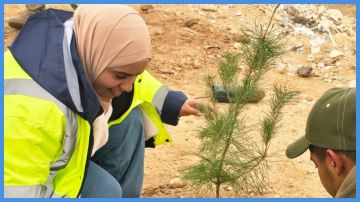 زراعة 3000 شجرة في الطفيلة زراعة 3000 شجرة في الطفيلة