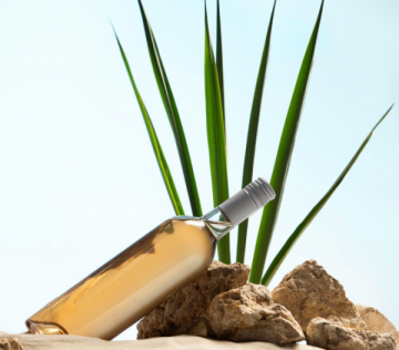 ترطيب البشرة بعد السباحة .. خطوات ذكية لحماية جمالك من الكلور والملح ترطيب البشرة بعد السباحة .. خطوات ذكية لحماية جمالك من الكلور والملح