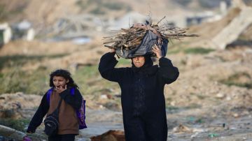 الأردن و7 دول: الوضع في غزة يستدعي إدخالا فوريا للمساعدات وفتح معبر رفح بالاتجاهين الأردن و7 دول: الوضع في غزة يستدعي إدخالا فوريا للمساعدات وفتح معبر رفح بالاتجاهين