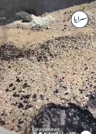 مواطن يدعي استمرار كسر خط مياه في الزعتري وهدر مستمر منذ 7 سنوات .. فيديو