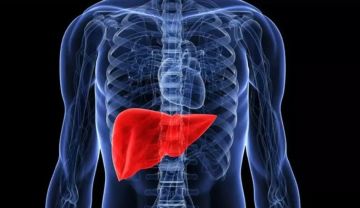 دراسة: بكتيريا الفم قد تكشف عن خطر أمراض الكبد المزمنة