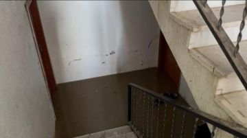 مياه الصرف الصحي تداهم منازل في إربد