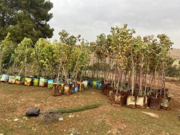 تواصل حملة التشجير الوطنية في جرش تواصل حملة التشجير الوطنية في جرش