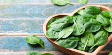 فوائد لا تحصى في أوراق السبانخ.. هذا ما كشفه العلماء