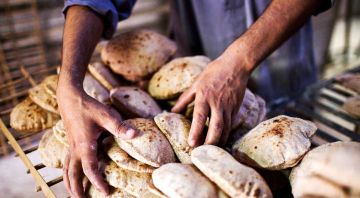 تحسن مستمر في مؤشرات الأمن الغذائي والتغذية بالأردن