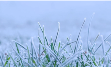 تزايد تأثر المملكة بالمرتفع السيبيري