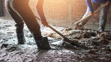 مختبرات الأشغال تجدد اعتمادها الدولي لضمان جودة المواد الإنشائية مختبرات الأشغال تجدد اعتمادها الدولي لضمان جودة المواد الإنشائية