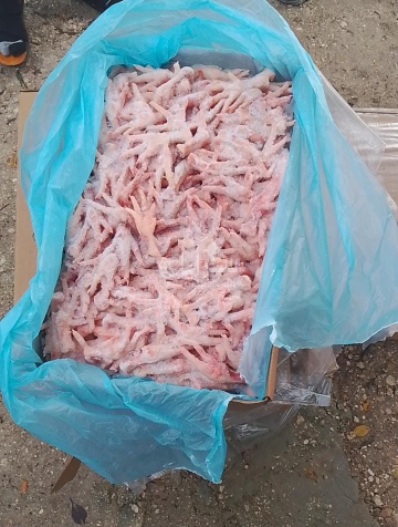 أرجل دجاج توزع على أسر عفيفه بالأغوار الشمالية .. صور