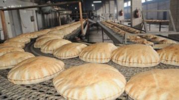 نقابتا المخابز والمحروقات تؤكدان استقرار التزويد وعدم تسجيل شكاوى خلال المنخفض