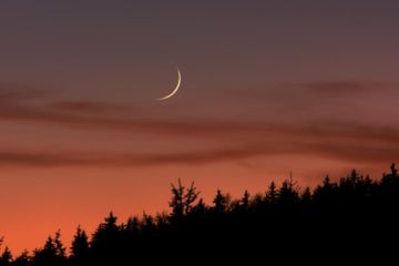 مفتي المملكة: الثلاثاء أول أيام شهر شعبان