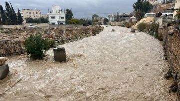 ارتفاع منسوب المياه وجريان قوي لسيل الزرقاء نتيجة الأمطار الغزيرة - فيديو