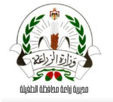 زراعة الطفيلة تدعو مزارعي القمح والشعير للتسجيل للحصول على شهادة المنشأ للموسم الزراعي