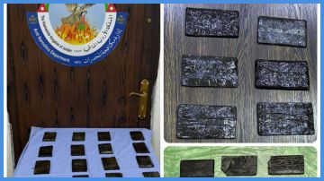 كشف تفاصيل قضيتين تتعلقان بعصابات إقليمية لتهريب المخدرات كشف تفاصيل قضيتين تتعلقان بعصابات إقليمية لتهريب المخدرات