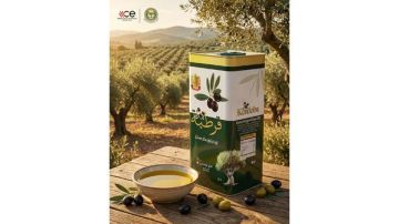 زيت الزيتون التونسي متوفر بأسعار منافسة الخميس