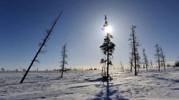 الاثنين .. ارتفاع طفيف على درجات الحرارة.. وأجواء باردة في معظم المناطق