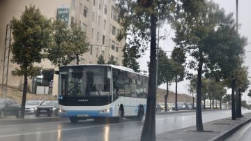 انخفاض نسبة مركبات النقل العام في الأردن 0.3 ليصل إلى 40,446 مركبة