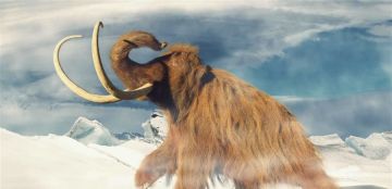 آخر ماموث لم يكن ماموثا مفاجأة من التحاليل الجينية