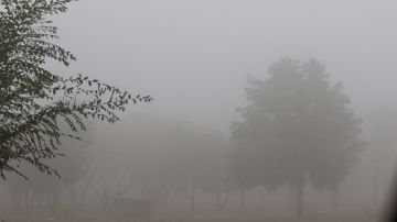 سلطة وادي الأردن تفعل خطة الطوارئ خلال المنخفض الجوي