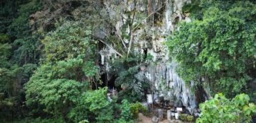 اكتشاف آثار لتعايش البشر وأشباه البشر في إندونيسيا اكتشاف آثار لتعايش البشر وأشباه البشر في إندونيسيا