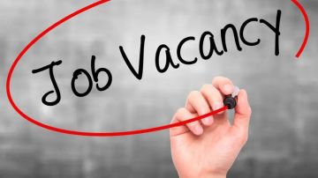 كيف تحصل على وظيفة في عام 2026؟