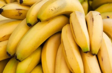 الموز.. فاكهة لذيذة وفوائد صحية متعددة الموز.. فاكهة لذيذة وفوائد صحية متعددة