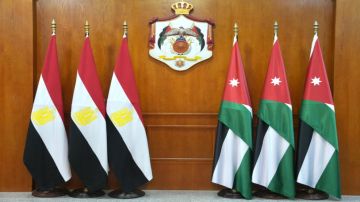 وزير الخارجية يلتقي اليوم نظيره المصري في عمان