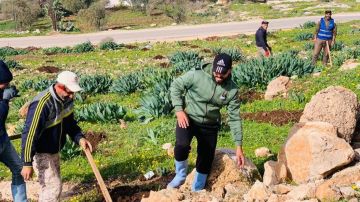 بلديات تواصل حملات التشجير لتعزيز الرقعة الخضراء في المملكة