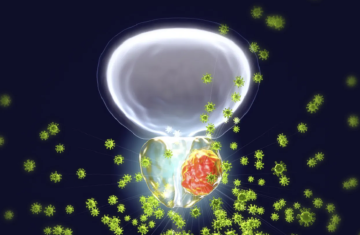 رابط مقلق بين تلوث الهواء وزيادة خطر الإصابة بسرطان البروستات رابط مقلق بين تلوث الهواء وزيادة خطر الإصابة بسرطان البروستات