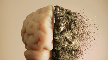 دراسة جديدة: قلة النوم قد تسرع شيخوخة الدماغ دراسة جديدة: قلة النوم قد تسرع شيخوخة الدماغ