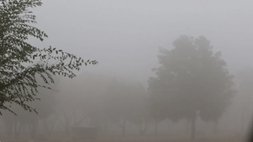 سلطة وادي الأردن تفعل خطة الطوارئ