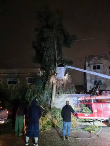 سقوط شجرة يتسبب بقطع التيار الكهربائي عن السخنة في الزرقاء سقوط شجرة يتسبب بقطع التيار الكهربائي عن السخنة في الزرقاء