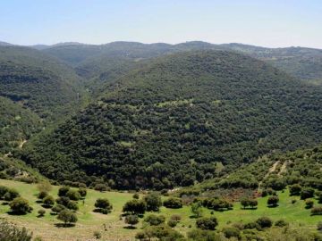 أبو عرابي: الهطولات المطرية دفعة قوية للقطاع الزراعي