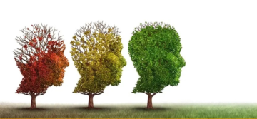 على 4 مراحل عمرية... بحسب العلماء الدماغ يعيد تشغيل نفسه