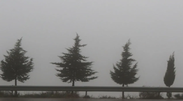 من الدرجة الثانية.. كشف تفاصيل منخفض الأحد على الأردن