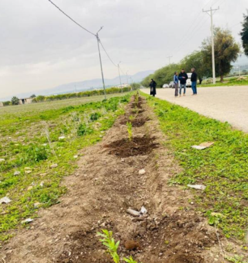 مشاركة واسعة بإربد في حملة التشجير الوطني