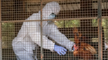 تحذير علمي من فيروسات حيوانية المنشأ مرشحة للتفشي بين البشر