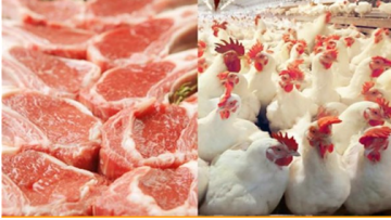 ماذا يحدث لجسمك عند تبديل اللحوم الحمراء بالدجاج؟.. نصائح مهمة