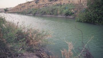 المياه: الأردن يتسلم كامل حصته المائية وفق معاهدة السلام وخطة حكومية لحماية المصادر عاجل
