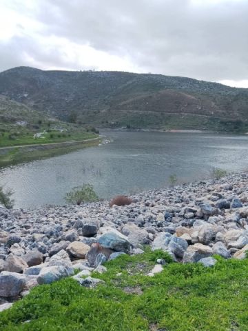 دفء المناخ يستقطب المتنزهين وينعش السياحة في الأغوار الشمالية