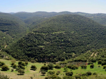 أبو عرابي: الهطولات المطرية دفعة قوية للقطاع الزراعي