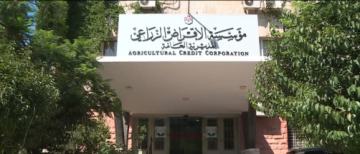 46 مليون دينار لدعم المزارعين.. الزراعة الأردنية تدخل عصر الابتكار والاستدامة 46 مليون دينار لدعم المزارعين.. الزراعة الأردنية تدخل عصر الابتكار والاستدامة