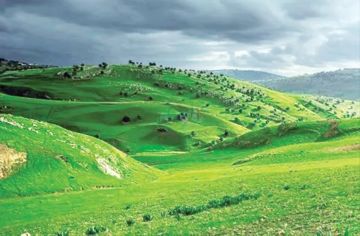 الخميس .. ارتفاع طفيف على الحرارة مع ضباب صباحي وتحذيرات من الصقيع ليلا