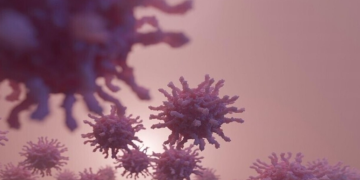 دراسة مقلقة.. تحذير من إنتشار الإنفلونزا D و كورونا الكلبي دراسة مقلقة.. تحذير من إنتشار الإنفلونزا D و كورونا الكلبي