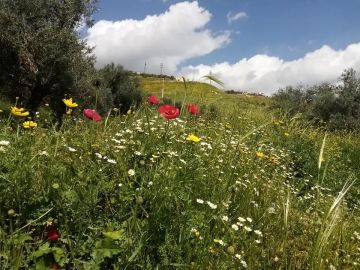 السبت .. أجواء باردة نهارا وشديدة البرودة ليلا مع فرص أمطار شمالا