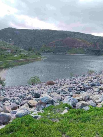 دفء المناخ ينعش السياحة في الأغوار الشمالية