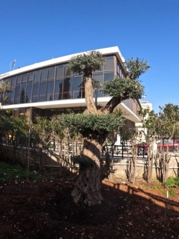 وزارة الثقافة الأردنية: برامج ومبادرات تربط المجتمع بالتراث الوطني وزارة الثقافة الأردنية: برامج ومبادرات تربط المجتمع بالتراث الوطني