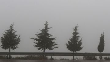 الأرصاد الجوية تحذر من تدني مدى الرؤية الأفقية بسبب الضباب