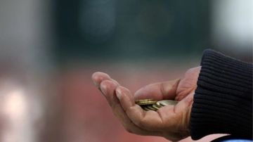 تفويض أمين عام التنمية الاجتماعية باستقصاء جرائم التسول